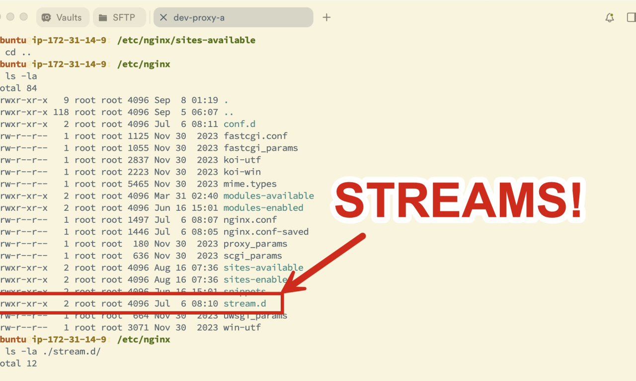 Forward Ports in NGINX